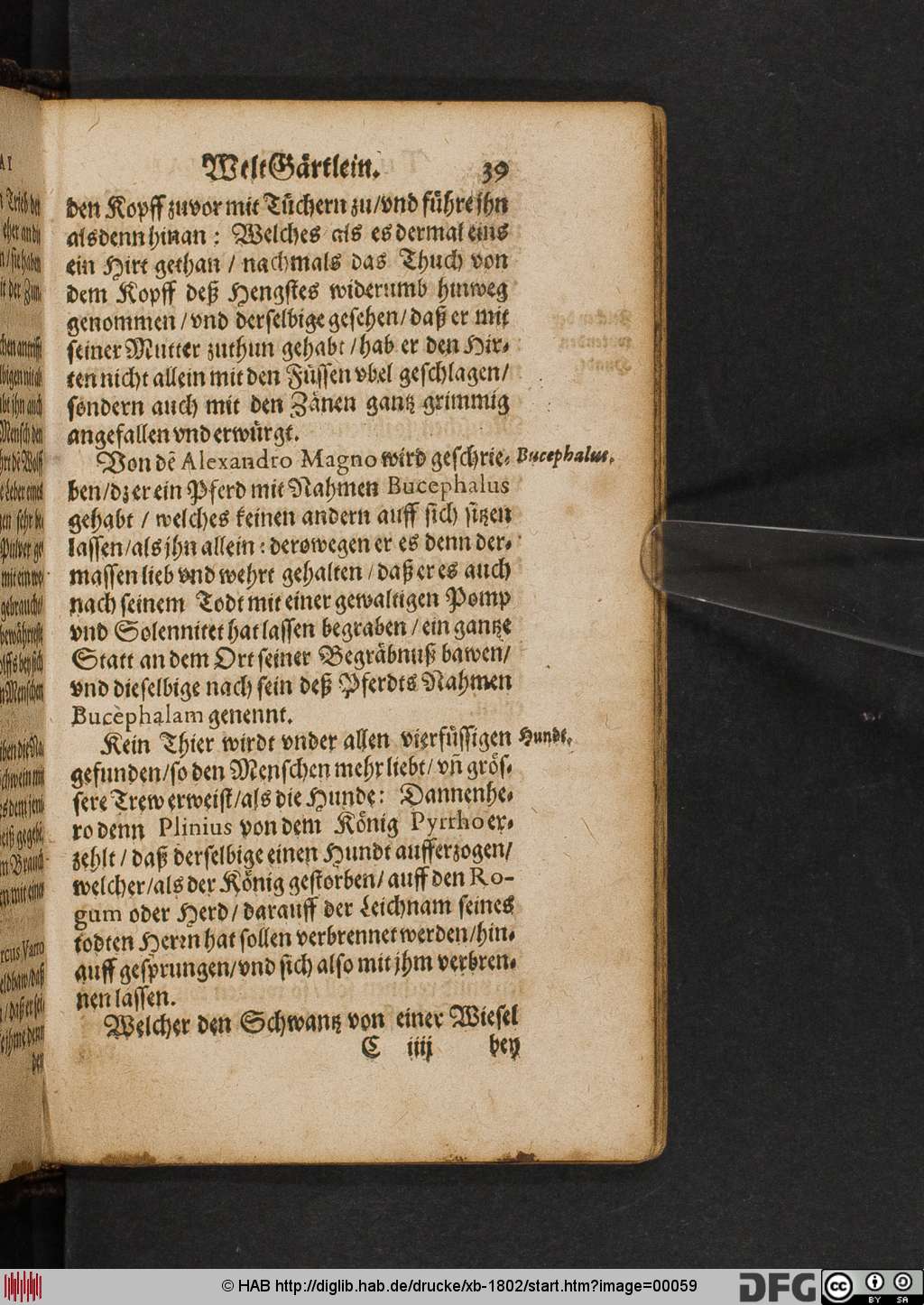 http://diglib.hab.de/drucke/xb-1802/00059.jpg