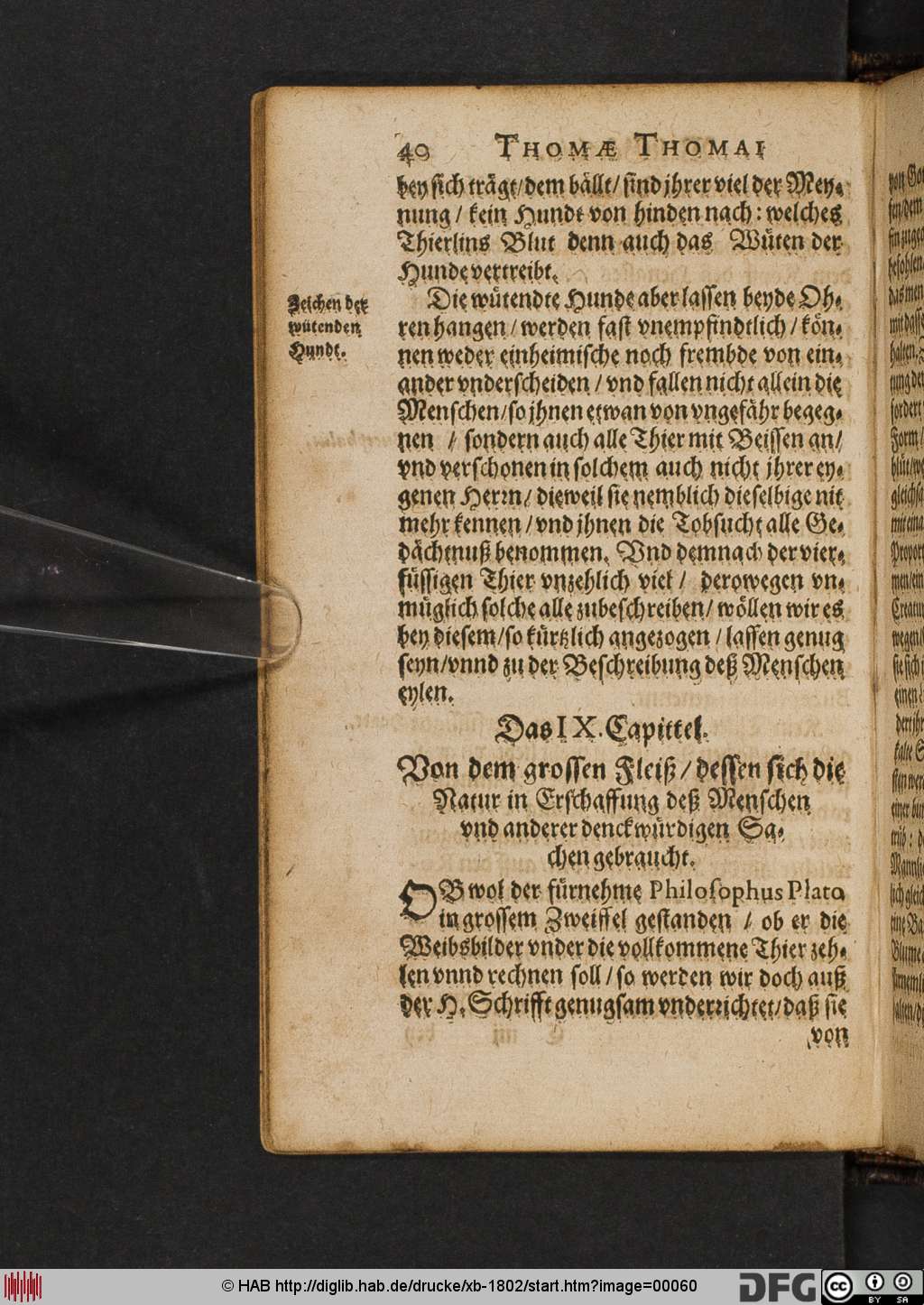 http://diglib.hab.de/drucke/xb-1802/00060.jpg