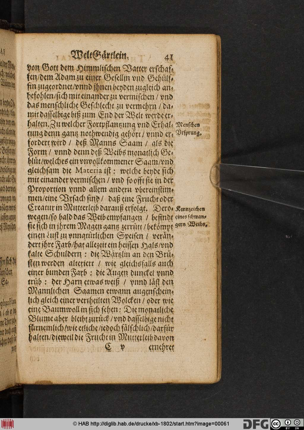 http://diglib.hab.de/drucke/xb-1802/00061.jpg