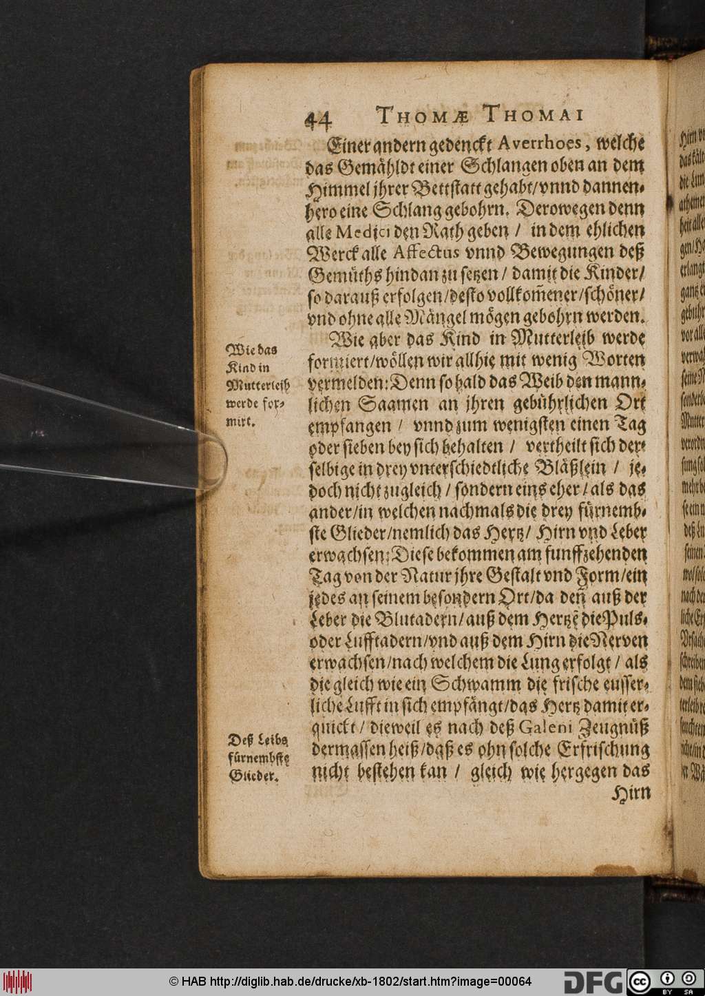 http://diglib.hab.de/drucke/xb-1802/00064.jpg