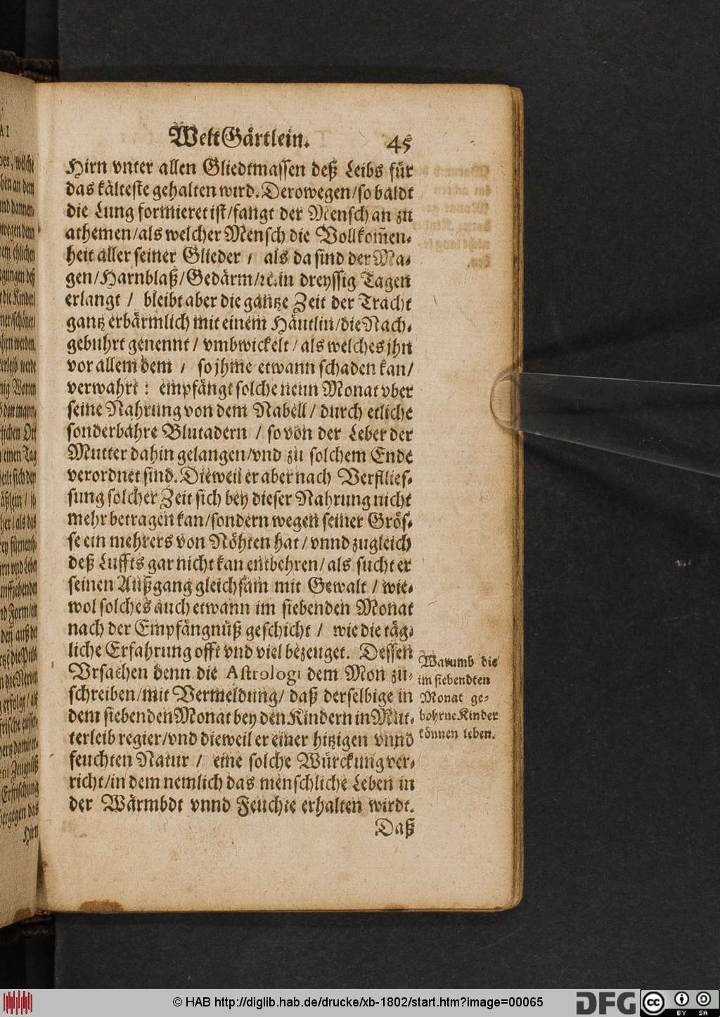 http://diglib.hab.de/drucke/xb-1802/00065.jpg