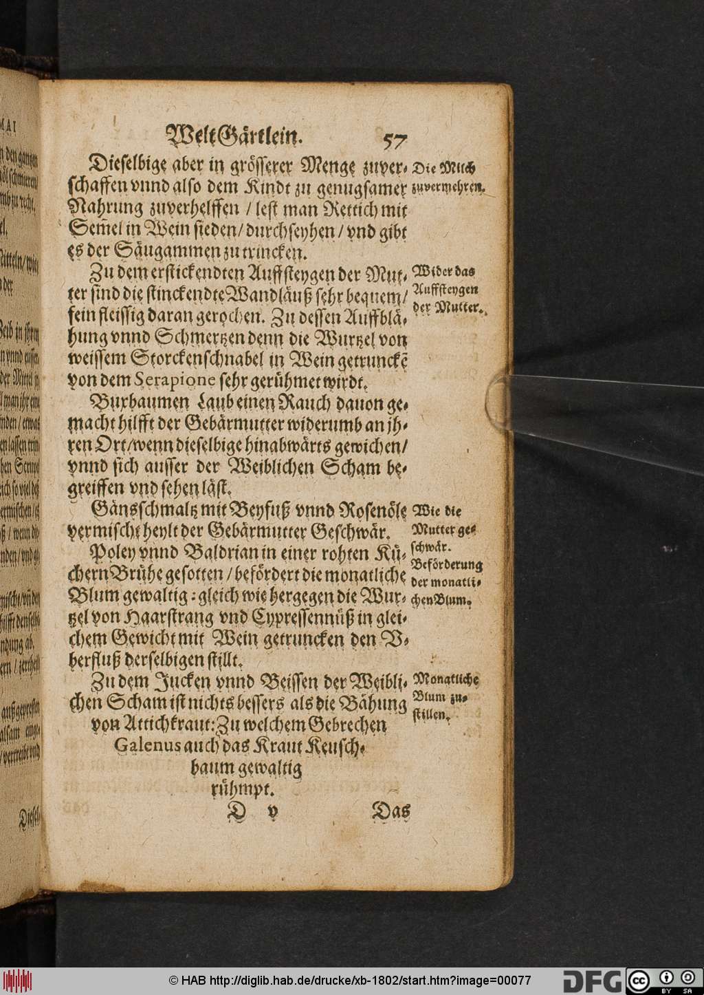 http://diglib.hab.de/drucke/xb-1802/00077.jpg