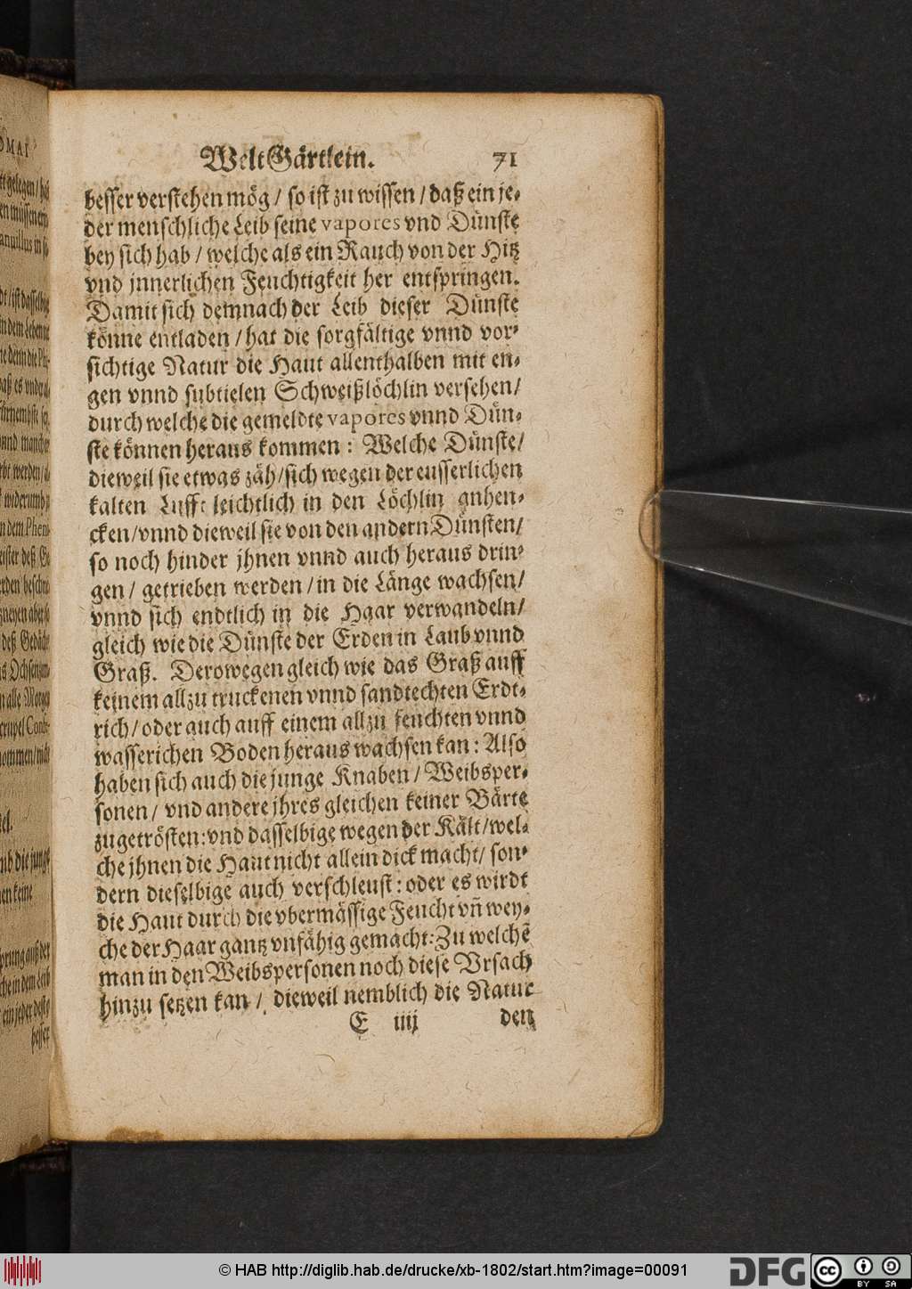 http://diglib.hab.de/drucke/xb-1802/00091.jpg