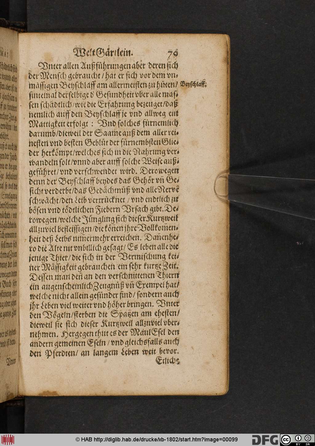 http://diglib.hab.de/drucke/xb-1802/00099.jpg
