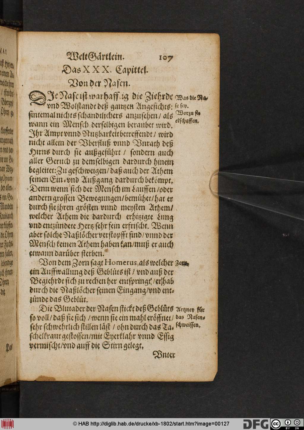 http://diglib.hab.de/drucke/xb-1802/00127.jpg