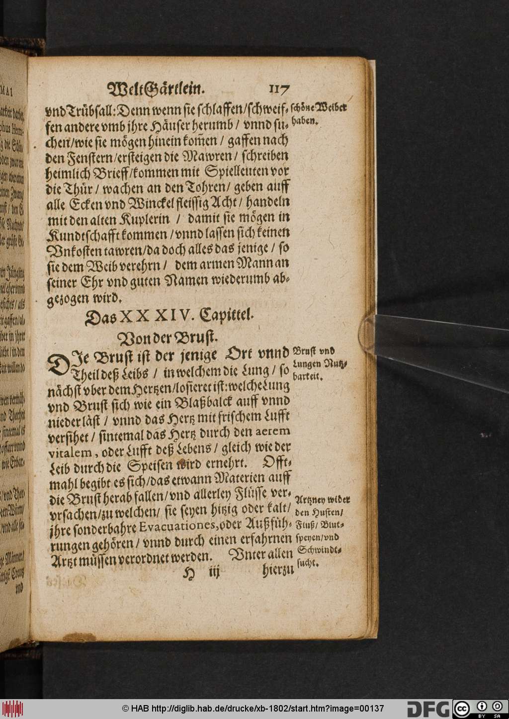 http://diglib.hab.de/drucke/xb-1802/00137.jpg
