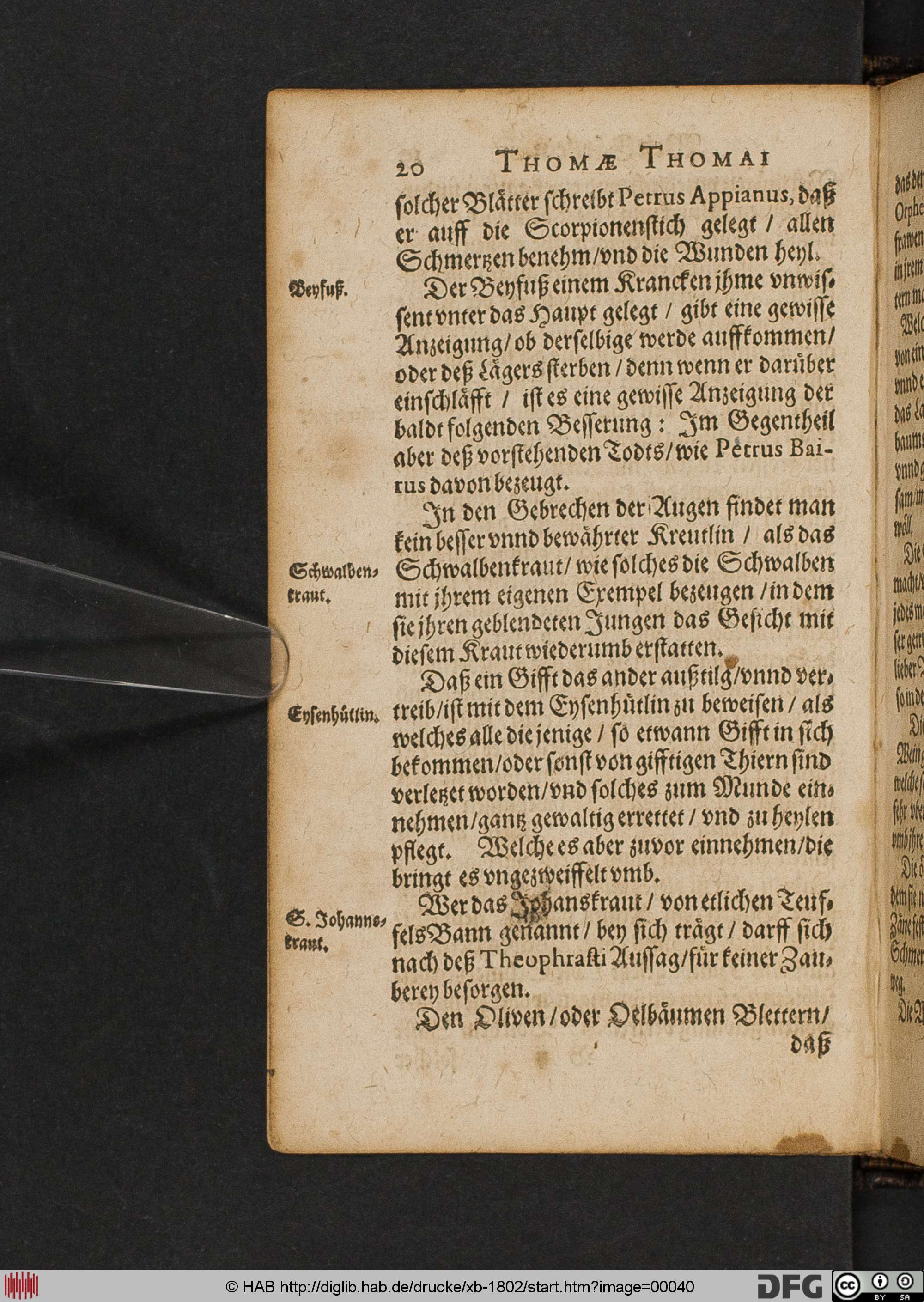 http://diglib.hab.de/drucke/xb-1802/max/00040.jpg