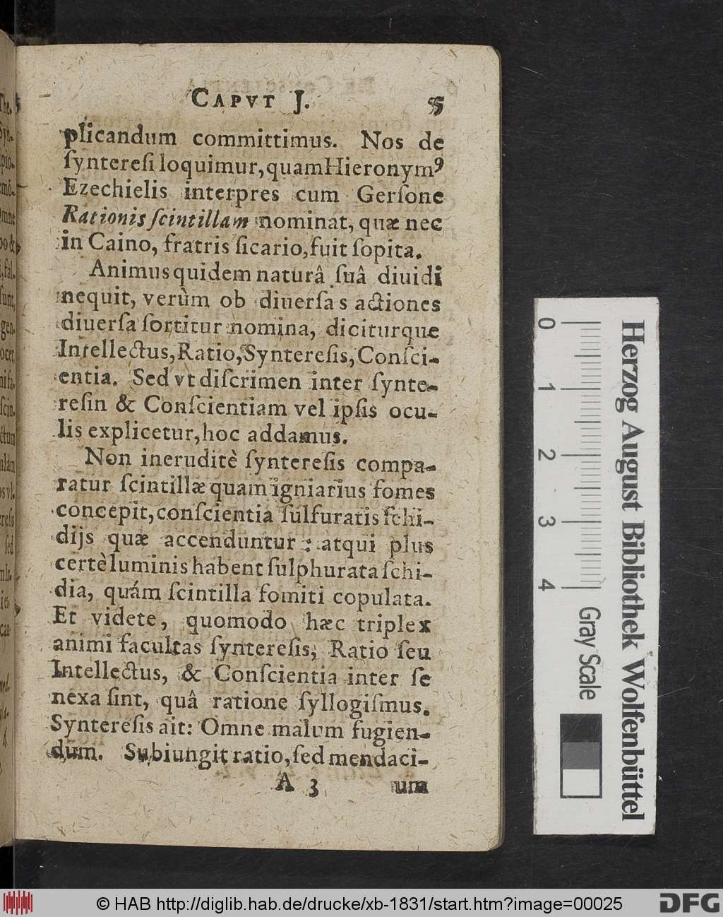 http://diglib.hab.de/drucke/xb-1831/00025.jpg