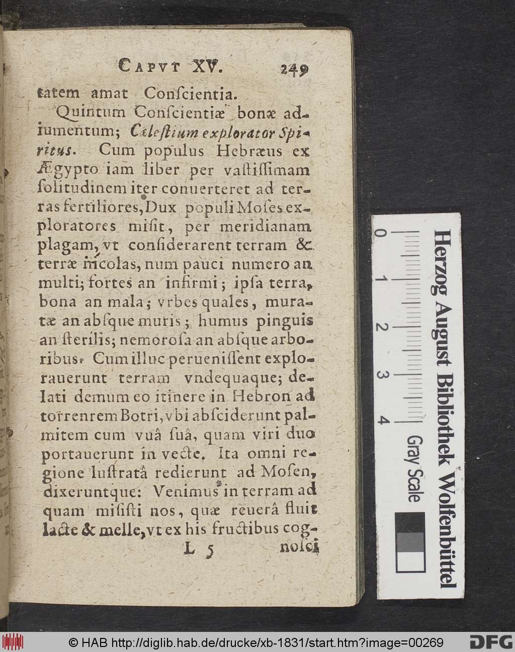 http://diglib.hab.de/drucke/xb-1831/00269.jpg