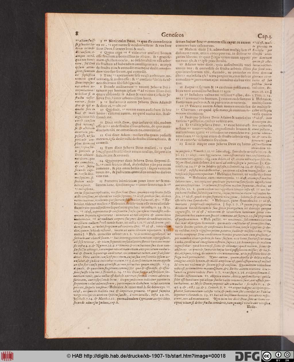 http://diglib.hab.de/drucke/xb-1907-1b/00018.jpg