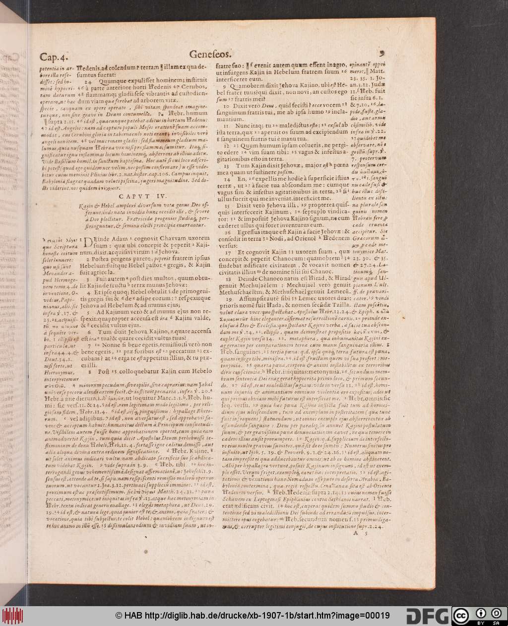 http://diglib.hab.de/drucke/xb-1907-1b/00019.jpg