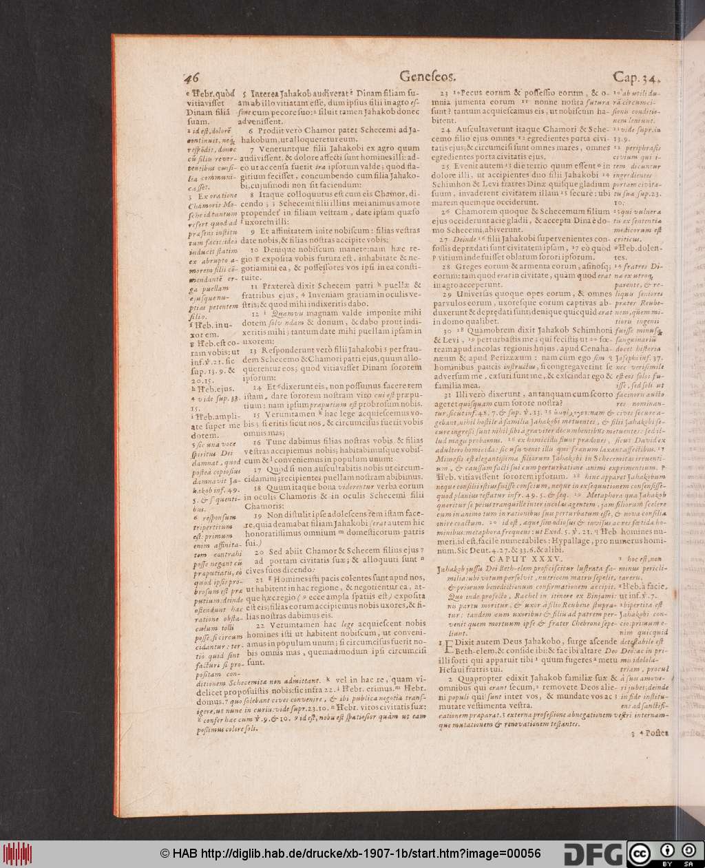 http://diglib.hab.de/drucke/xb-1907-1b/00056.jpg