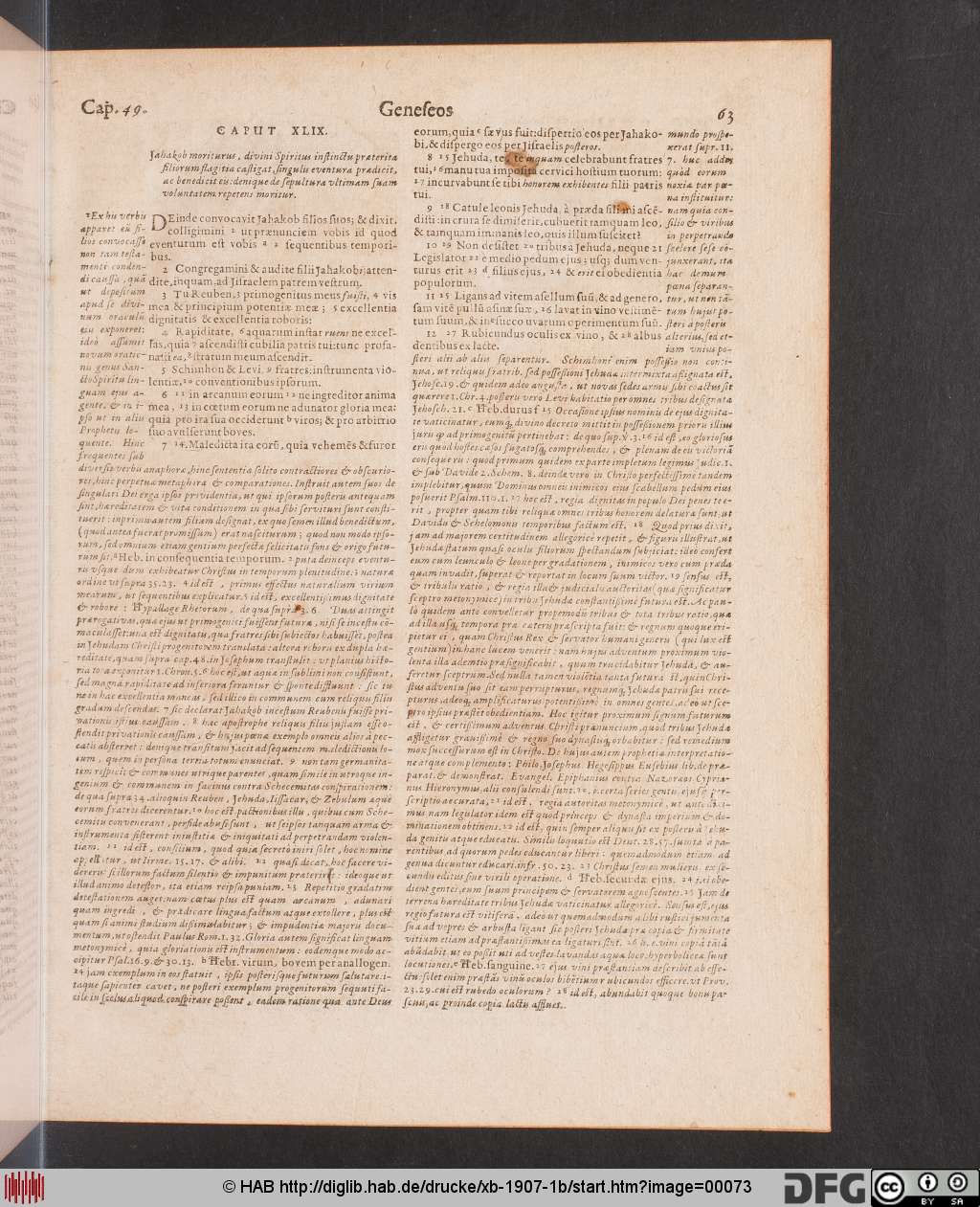 http://diglib.hab.de/drucke/xb-1907-1b/00073.jpg