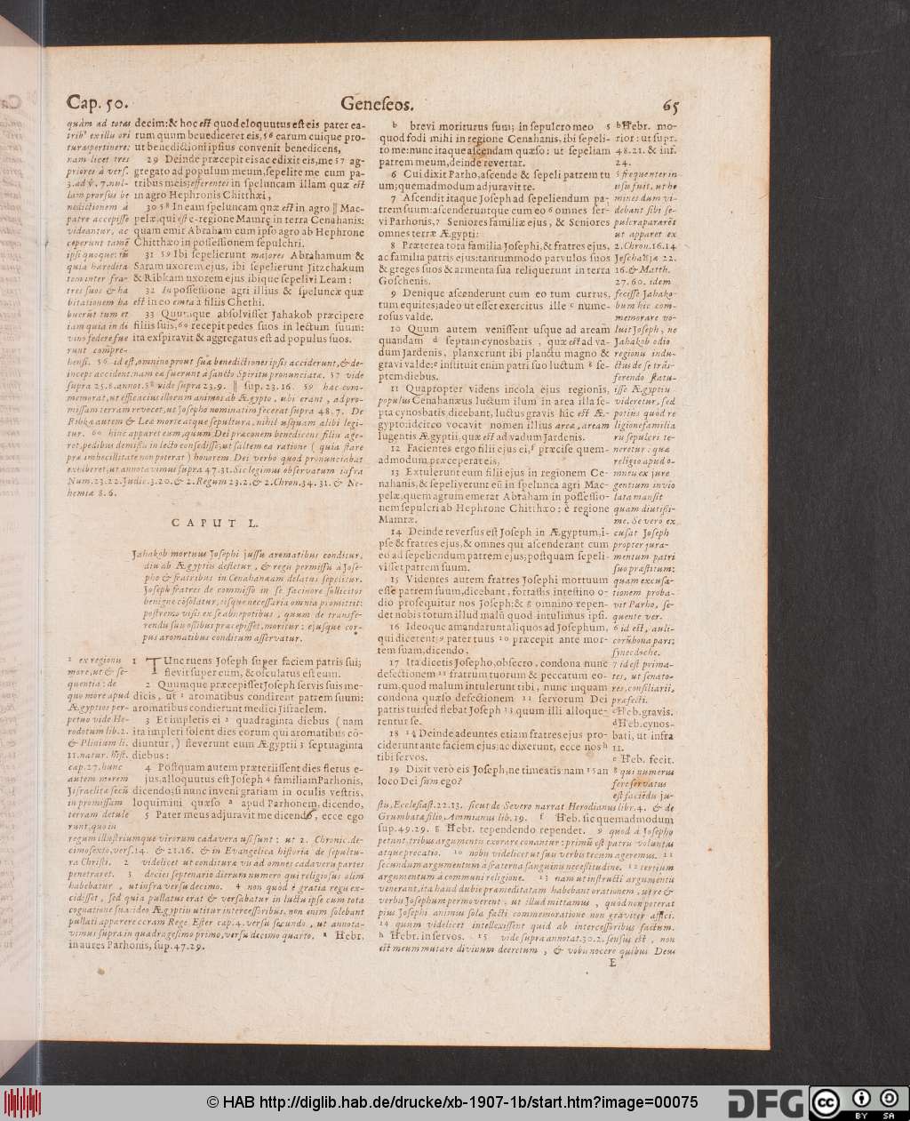 http://diglib.hab.de/drucke/xb-1907-1b/00075.jpg