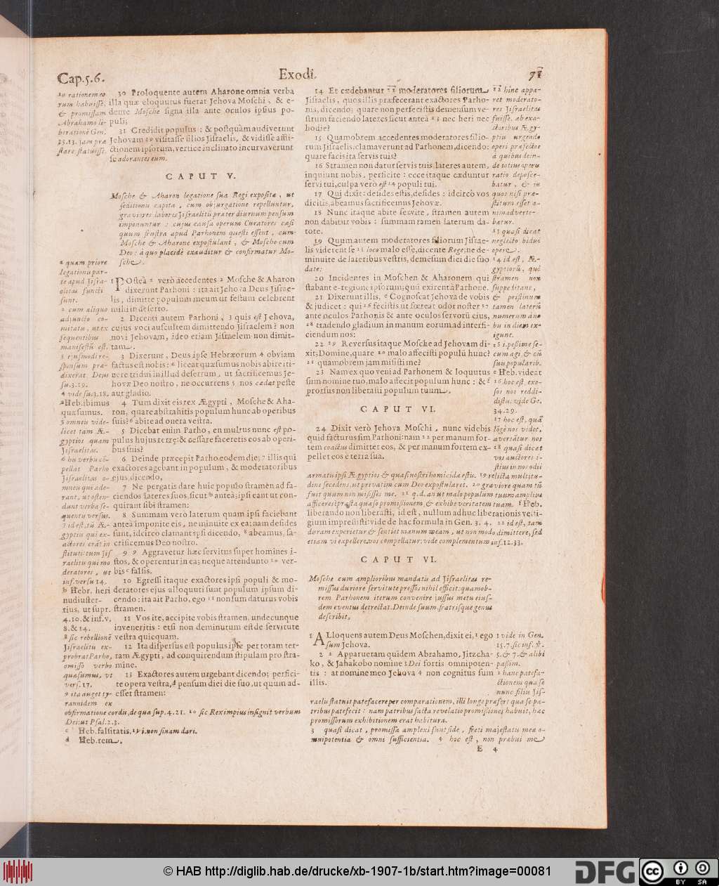 http://diglib.hab.de/drucke/xb-1907-1b/00081.jpg