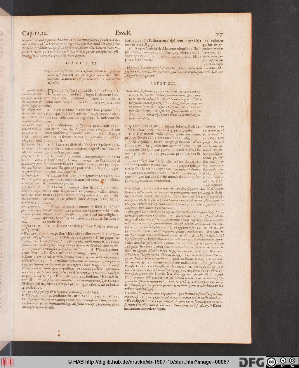 http://diglib.hab.de/drucke/xb-1907-1b/00087.jpg