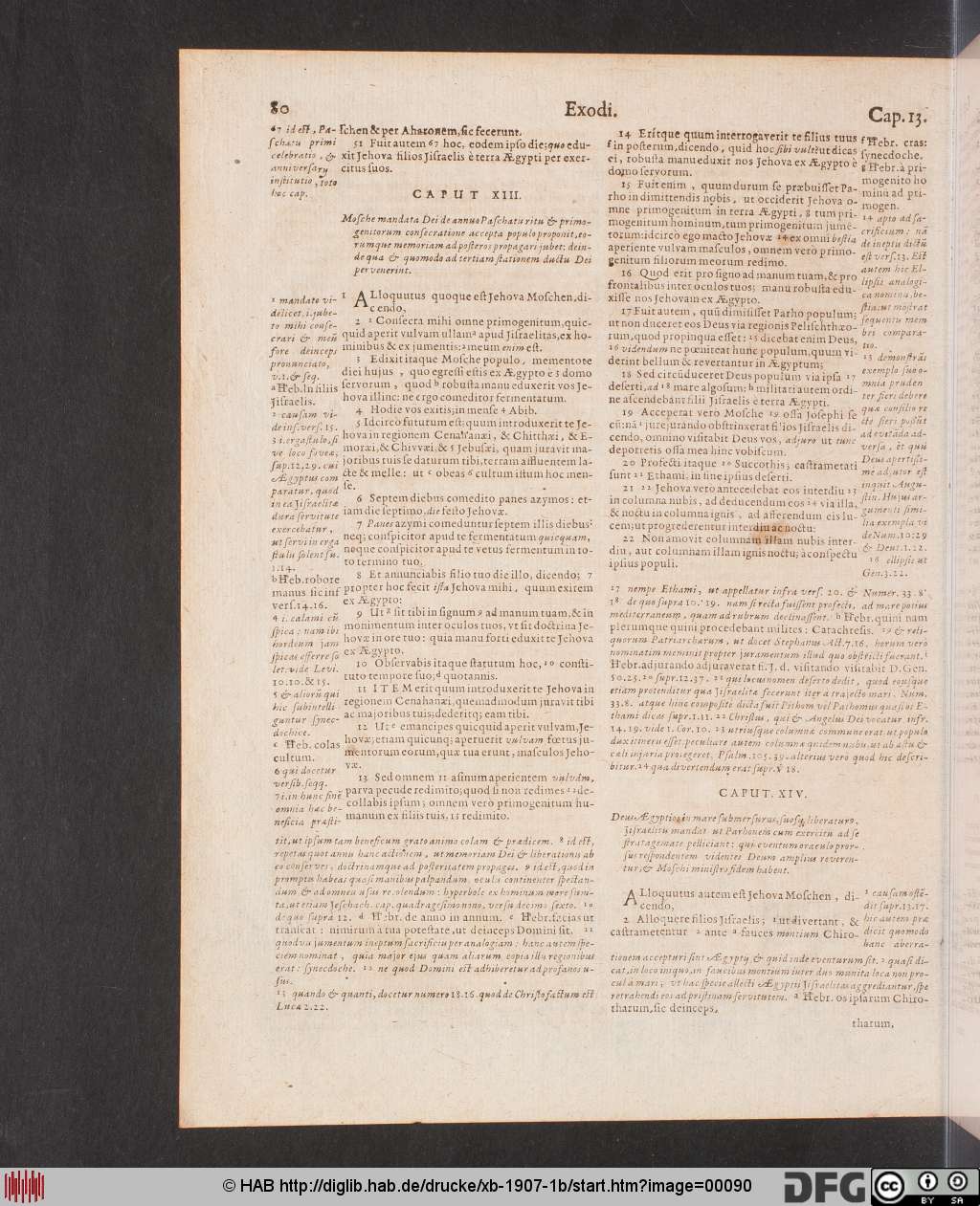 http://diglib.hab.de/drucke/xb-1907-1b/00090.jpg