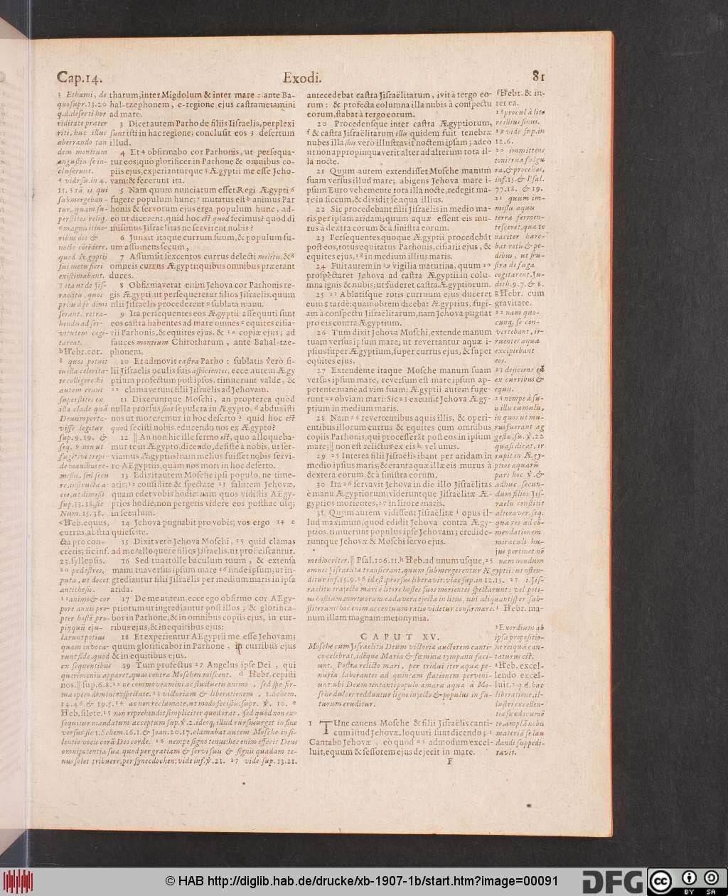 http://diglib.hab.de/drucke/xb-1907-1b/00091.jpg