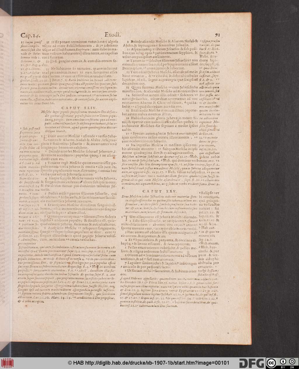 http://diglib.hab.de/drucke/xb-1907-1b/00101.jpg