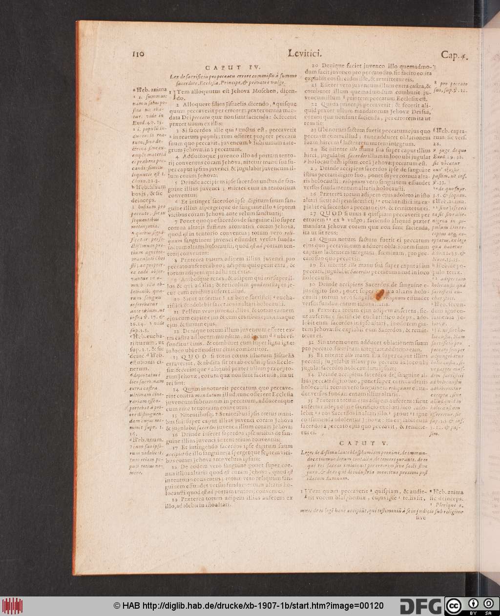 http://diglib.hab.de/drucke/xb-1907-1b/00120.jpg