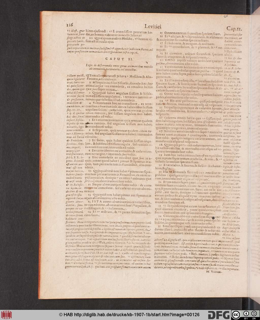 http://diglib.hab.de/drucke/xb-1907-1b/00126.jpg