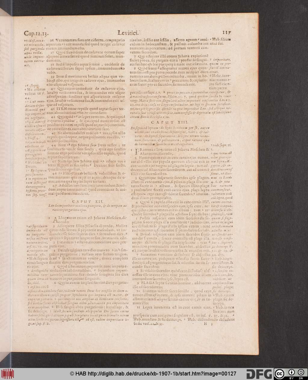 http://diglib.hab.de/drucke/xb-1907-1b/00127.jpg