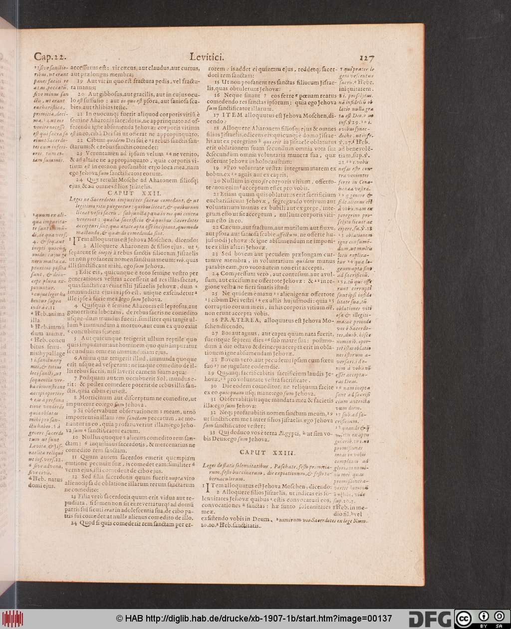 http://diglib.hab.de/drucke/xb-1907-1b/00137.jpg