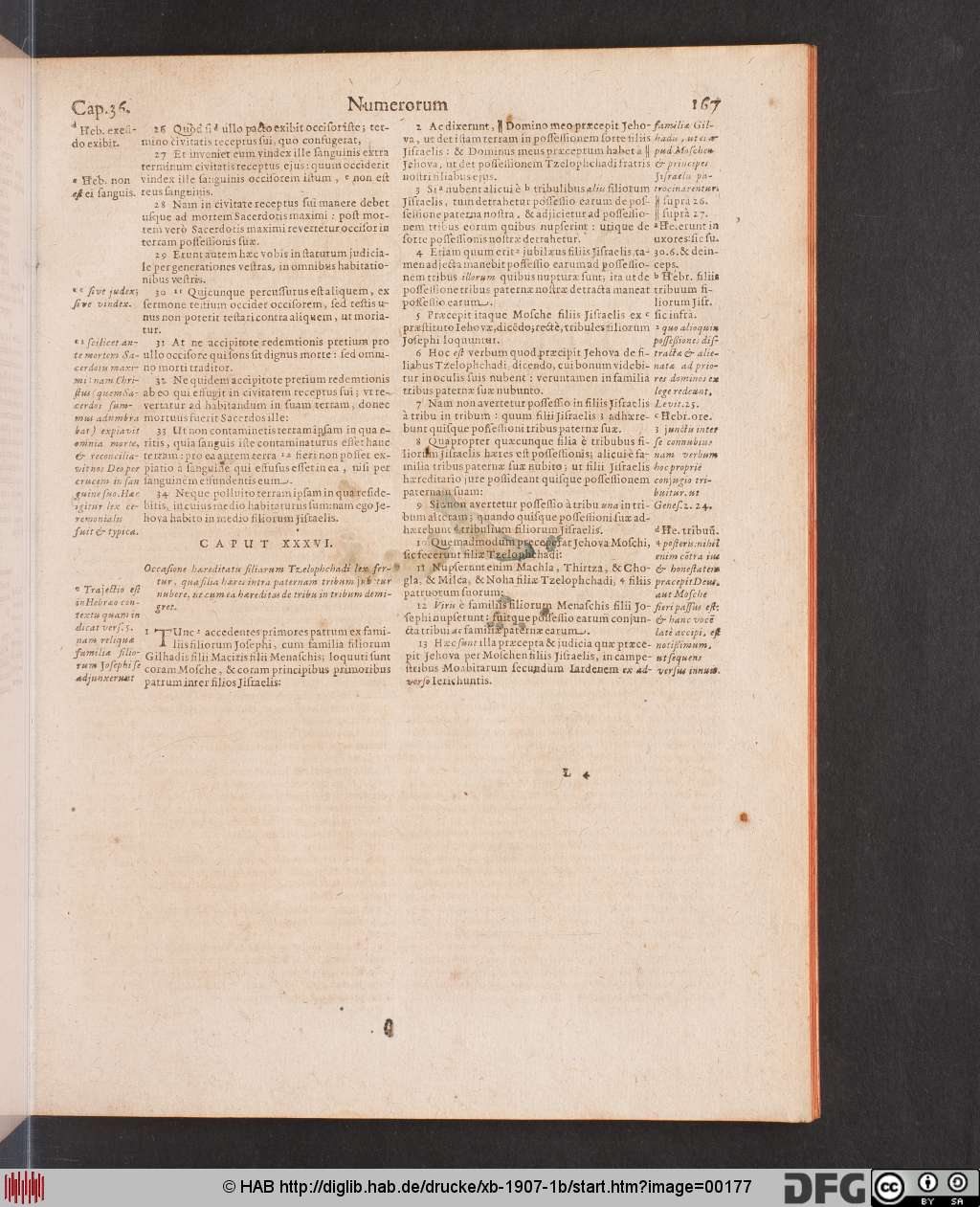 http://diglib.hab.de/drucke/xb-1907-1b/00177.jpg