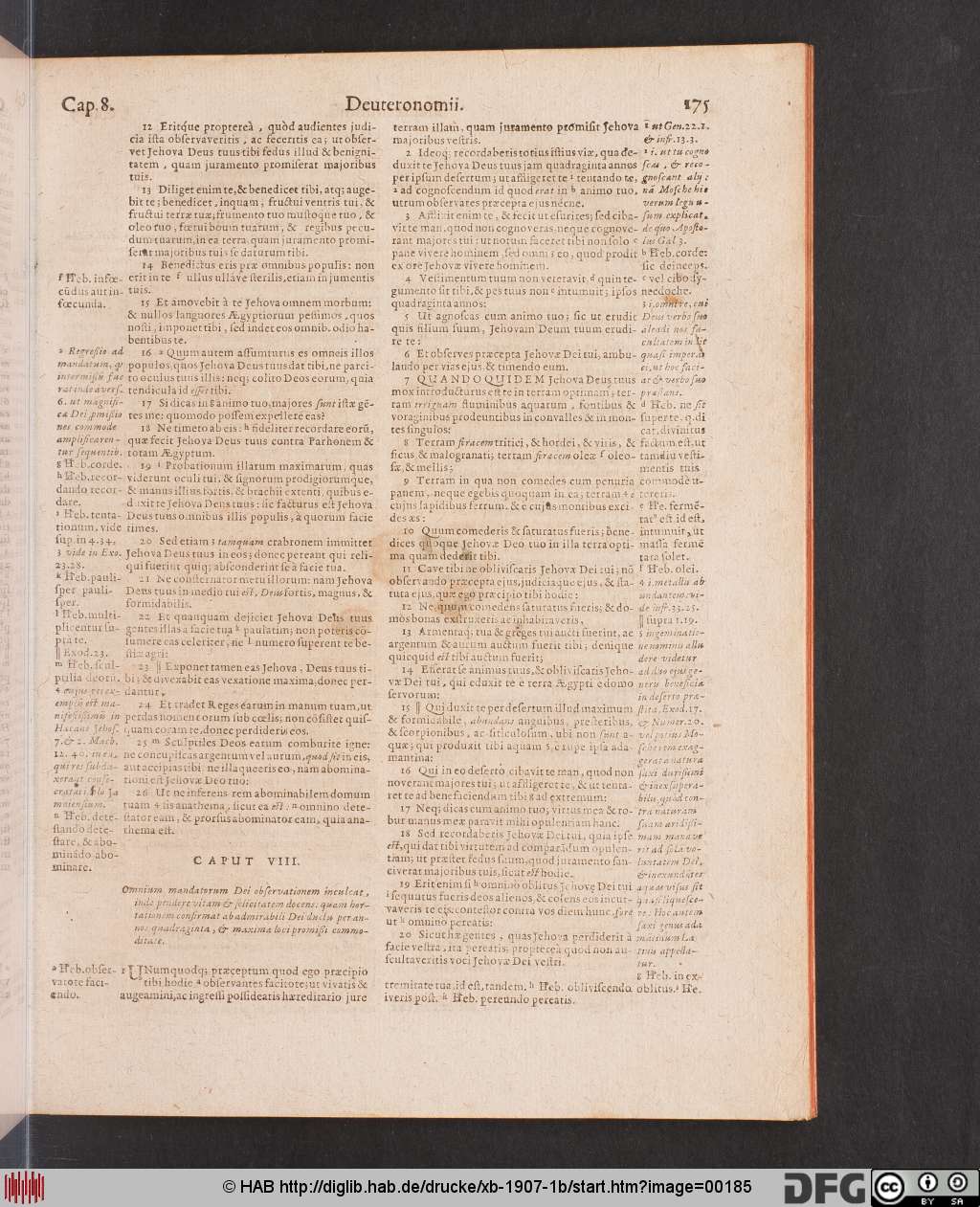 http://diglib.hab.de/drucke/xb-1907-1b/00185.jpg