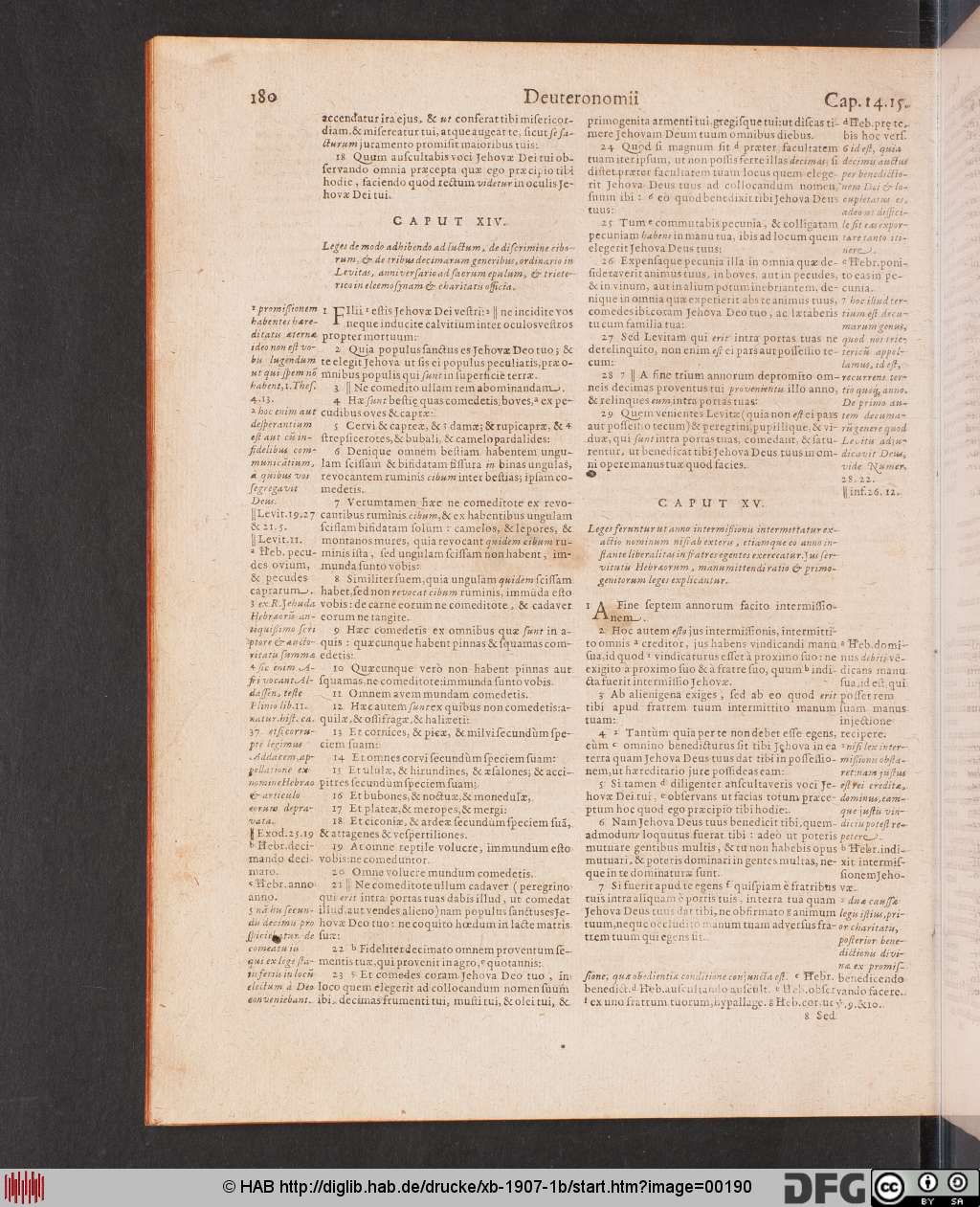 http://diglib.hab.de/drucke/xb-1907-1b/00190.jpg