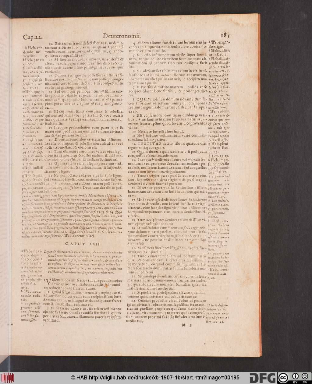 http://diglib.hab.de/drucke/xb-1907-1b/00195.jpg