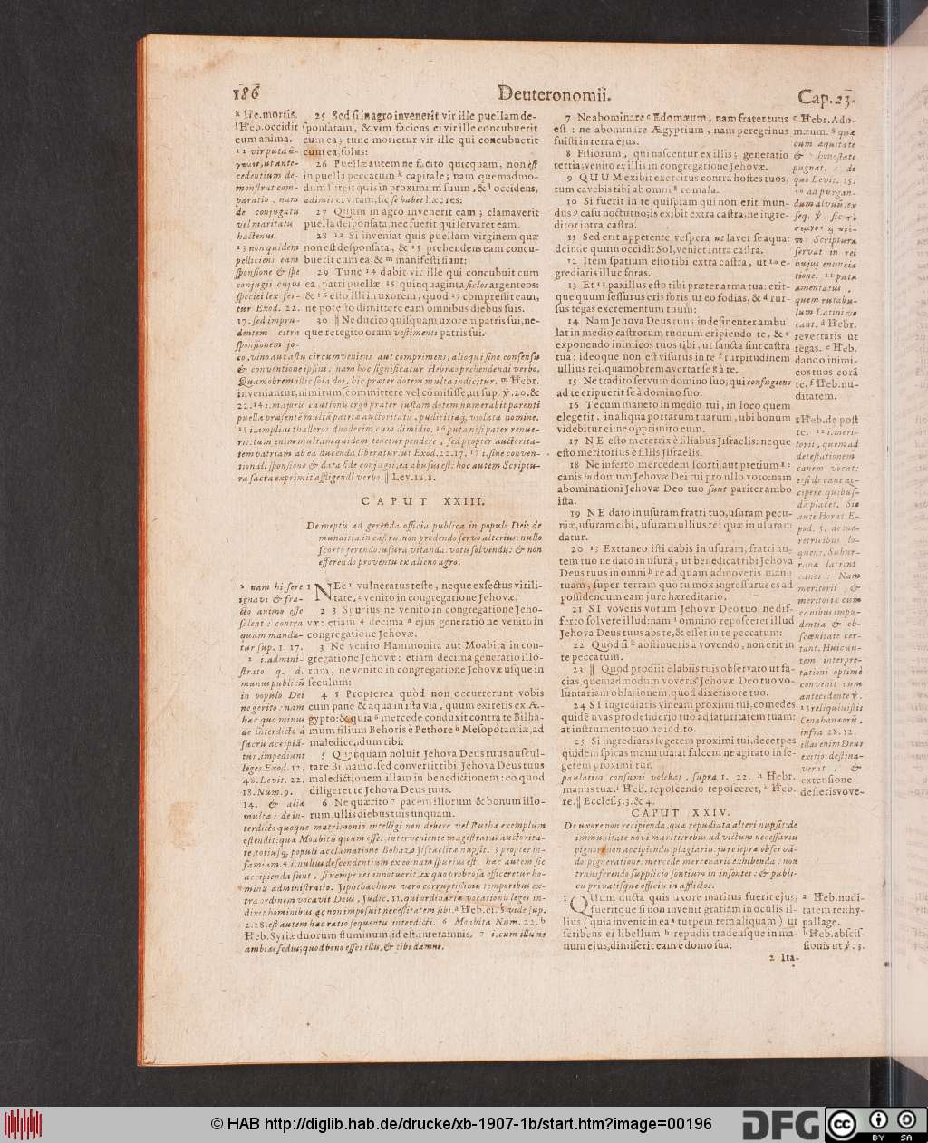 http://diglib.hab.de/drucke/xb-1907-1b/00196.jpg