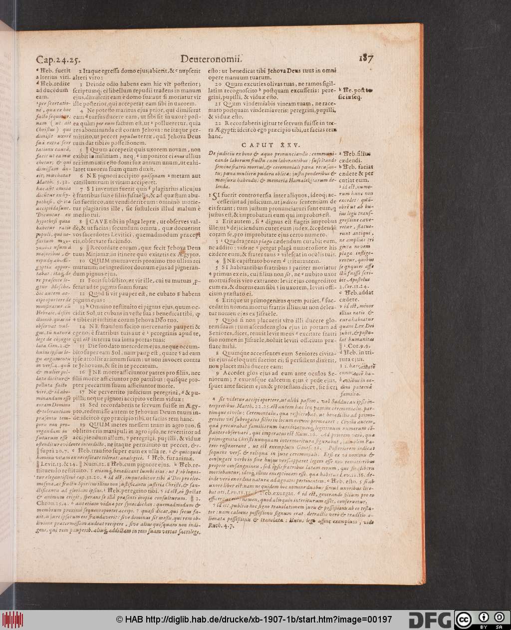 http://diglib.hab.de/drucke/xb-1907-1b/00197.jpg