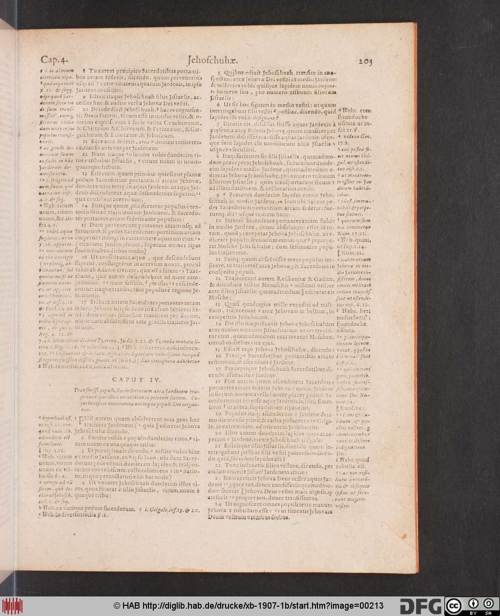 http://diglib.hab.de/drucke/xb-1907-1b/00213.jpg