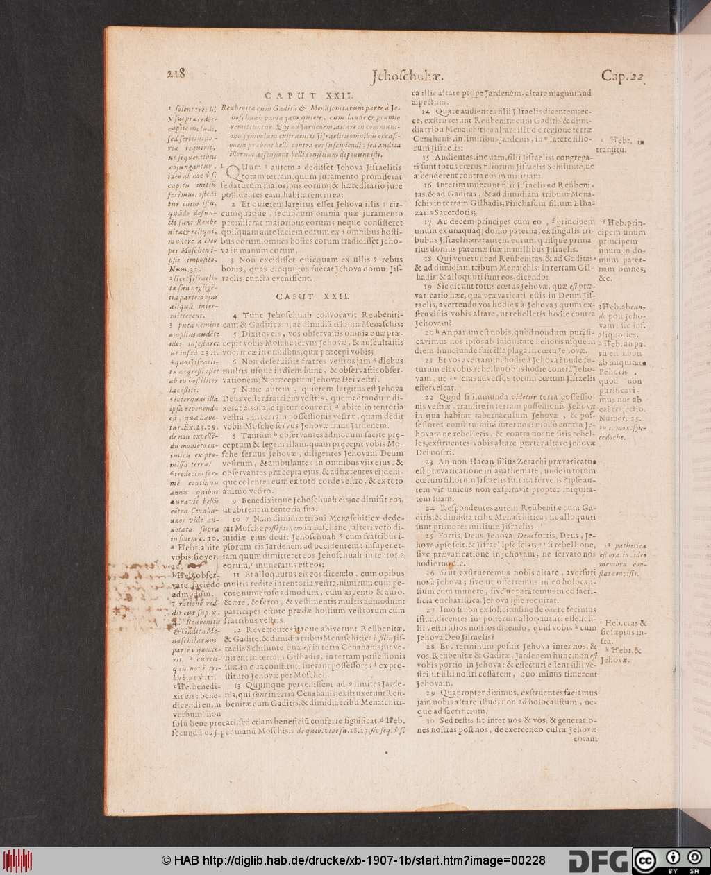 http://diglib.hab.de/drucke/xb-1907-1b/00228.jpg