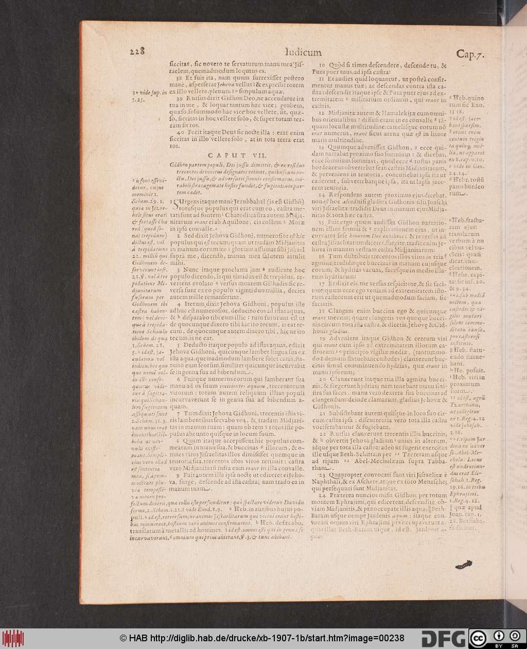 http://diglib.hab.de/drucke/xb-1907-1b/00238.jpg