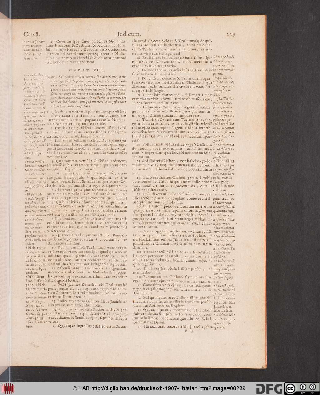 http://diglib.hab.de/drucke/xb-1907-1b/00239.jpg