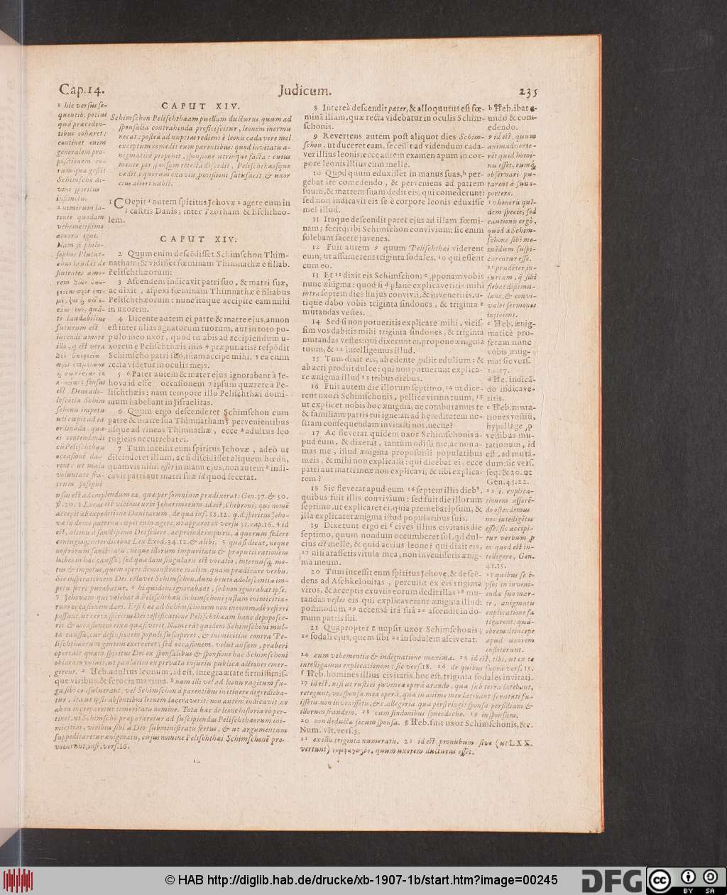 http://diglib.hab.de/drucke/xb-1907-1b/00245.jpg