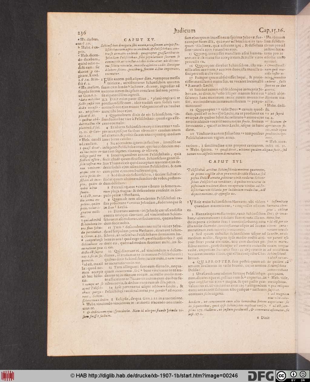 http://diglib.hab.de/drucke/xb-1907-1b/00246.jpg