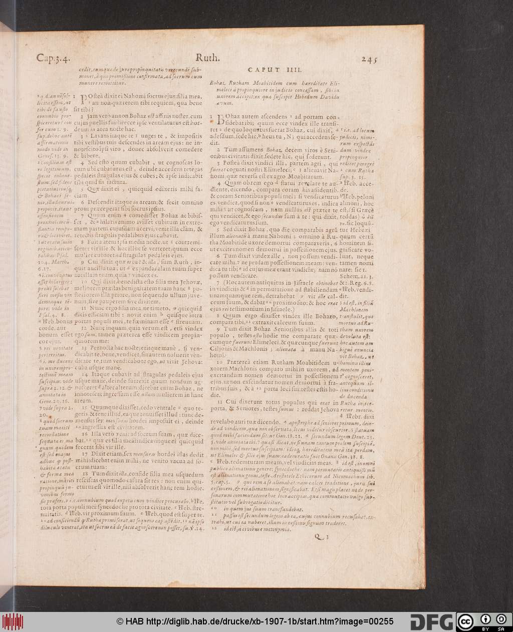 http://diglib.hab.de/drucke/xb-1907-1b/00255.jpg