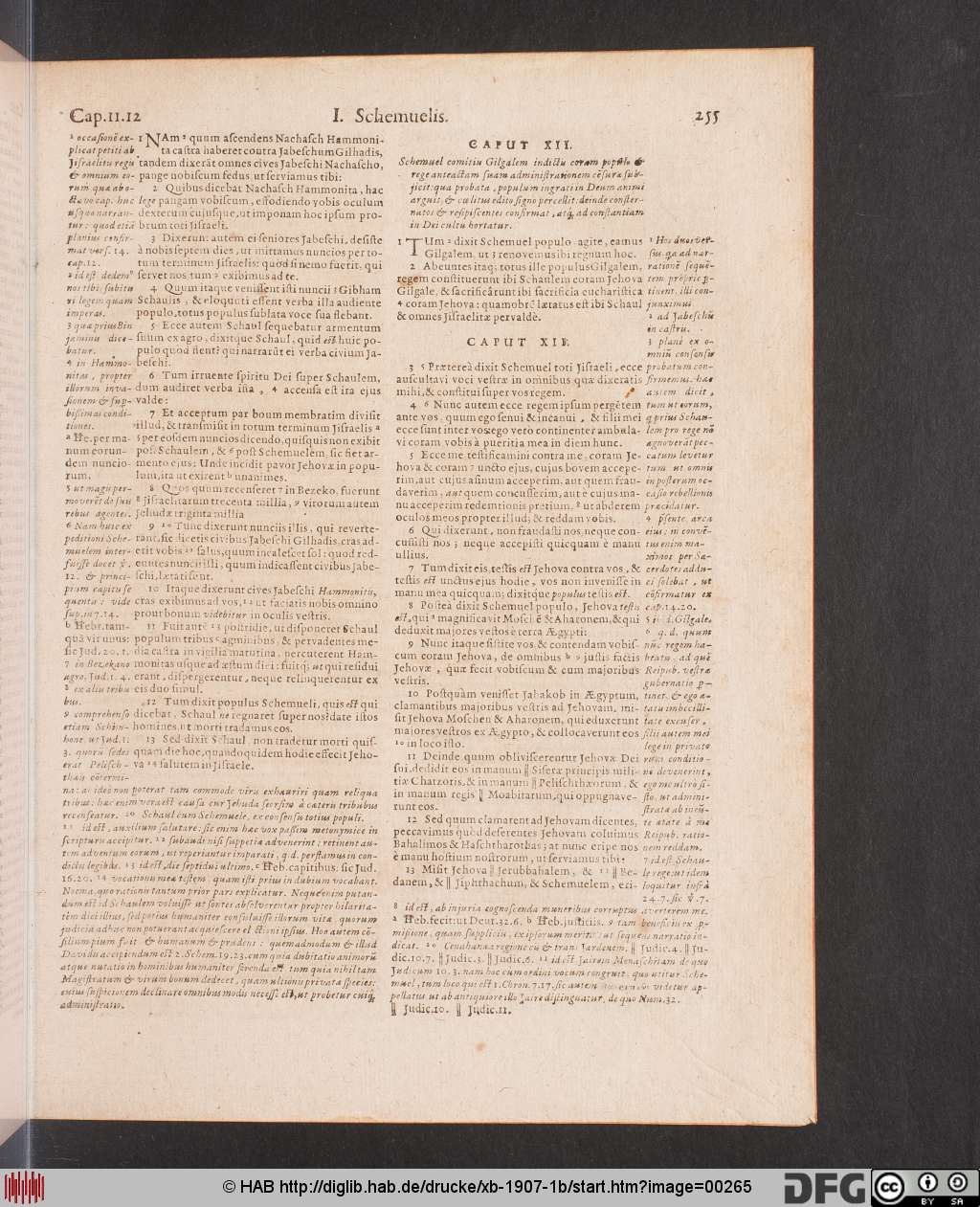 http://diglib.hab.de/drucke/xb-1907-1b/00265.jpg