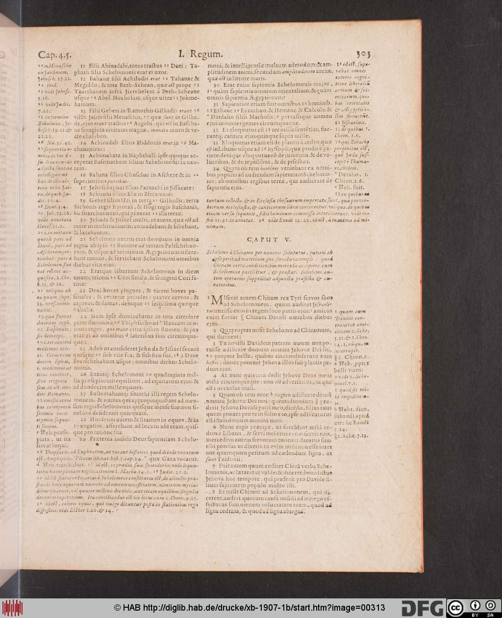 http://diglib.hab.de/drucke/xb-1907-1b/00313.jpg