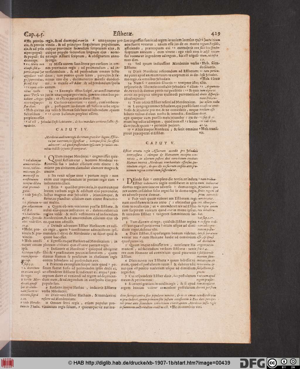 http://diglib.hab.de/drucke/xb-1907-1b/00439.jpg
