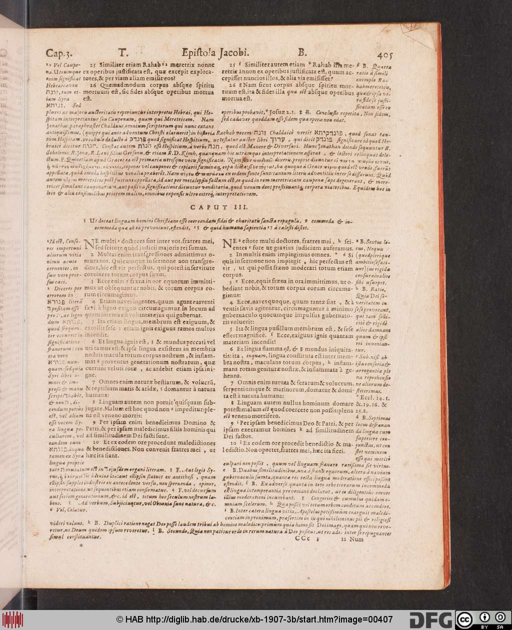 http://diglib.hab.de/drucke/xb-1907-3b/00407.jpg