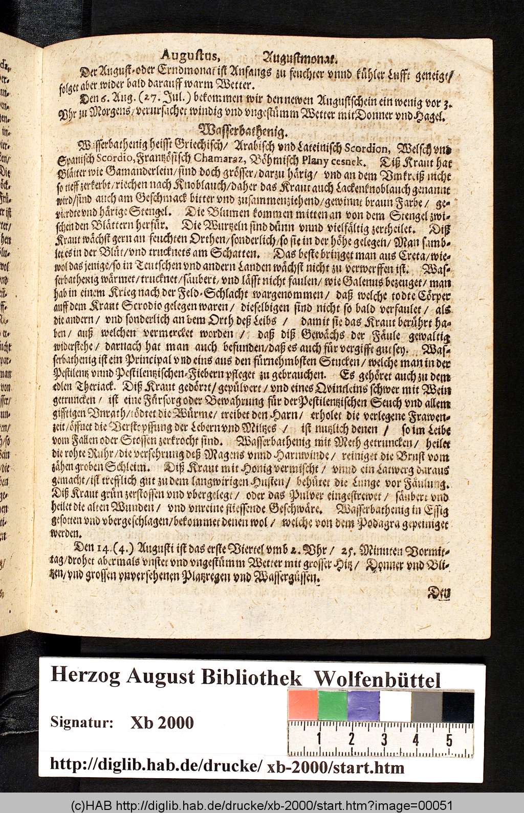 http://diglib.hab.de/drucke/xb-2000/00051.jpg
