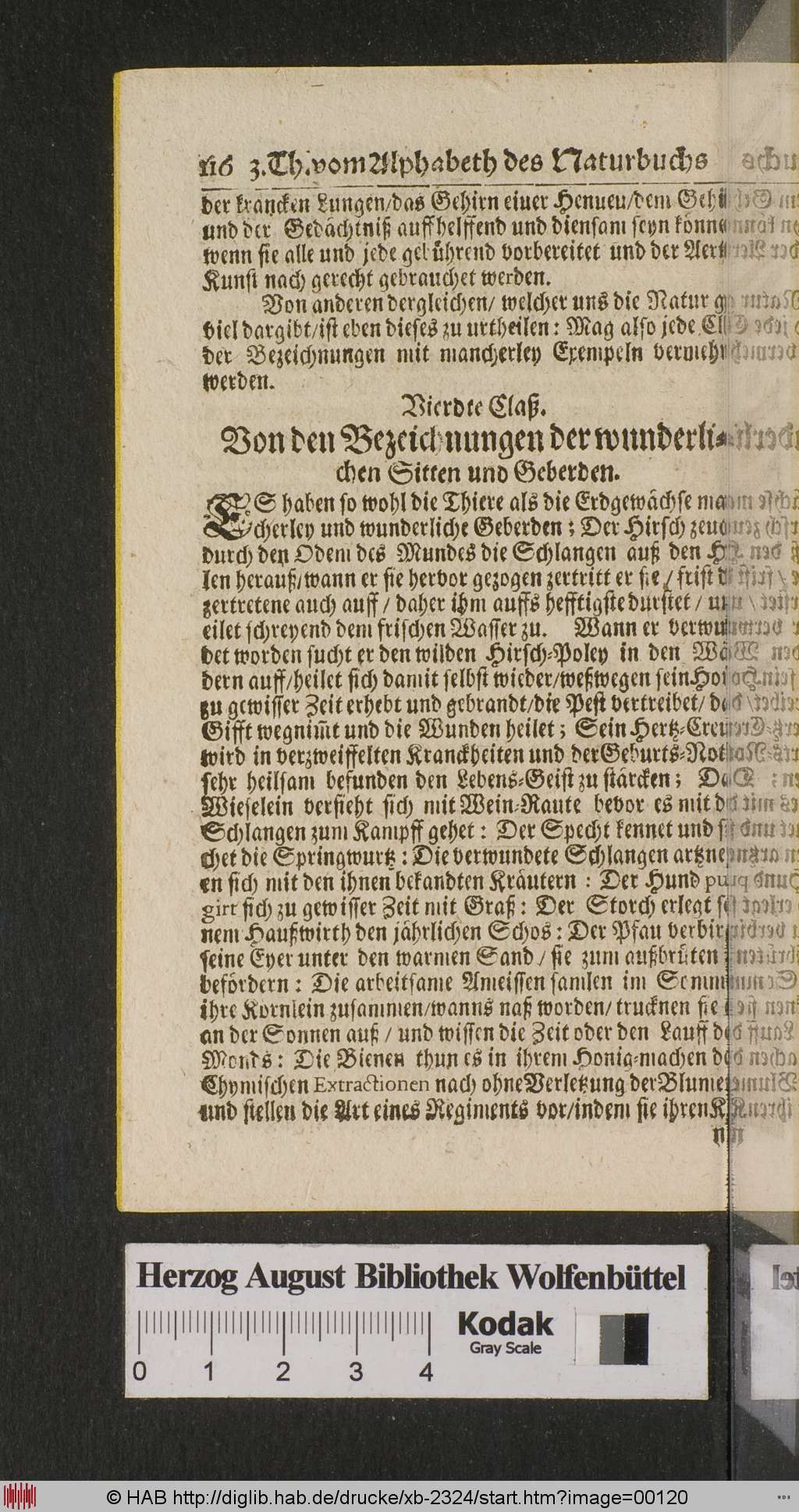 http://diglib.hab.de/drucke/xb-2324/00120.jpg