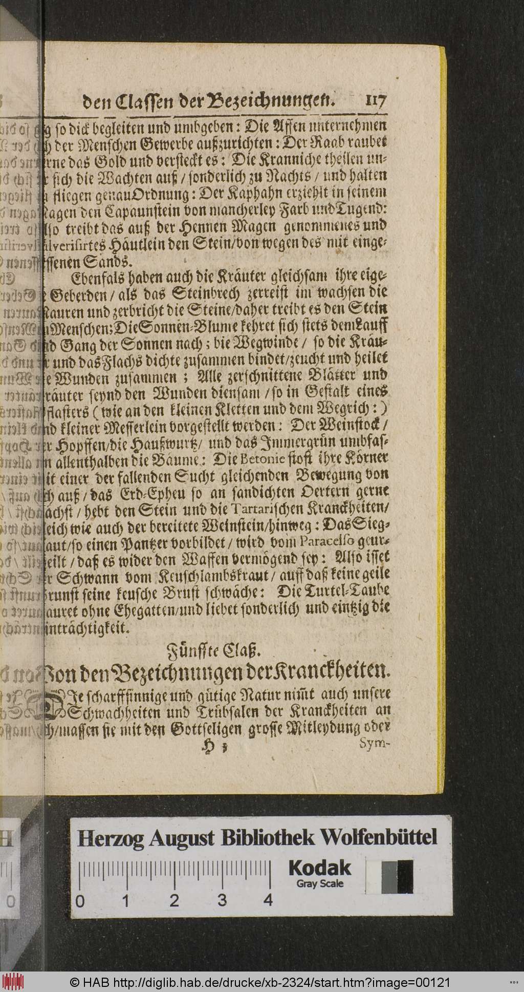http://diglib.hab.de/drucke/xb-2324/00121.jpg