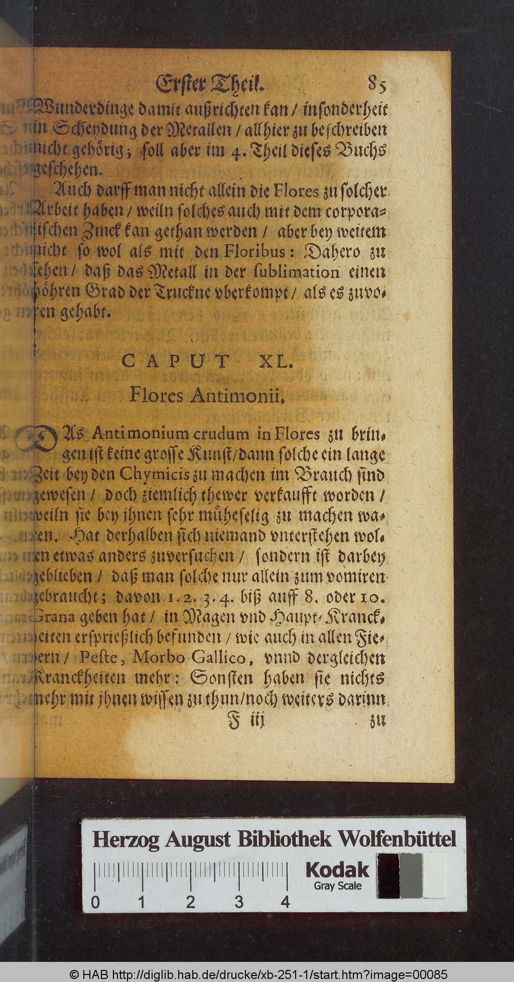 http://diglib.hab.de/drucke/xb-251-1/00085.jpg