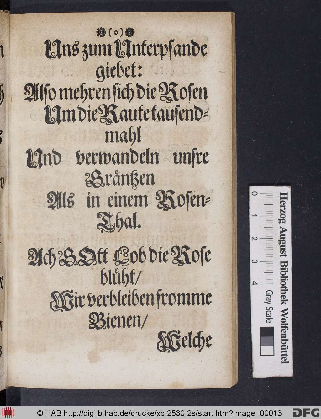 http://diglib.hab.de/drucke/xb-2530-2s/00013.jpg