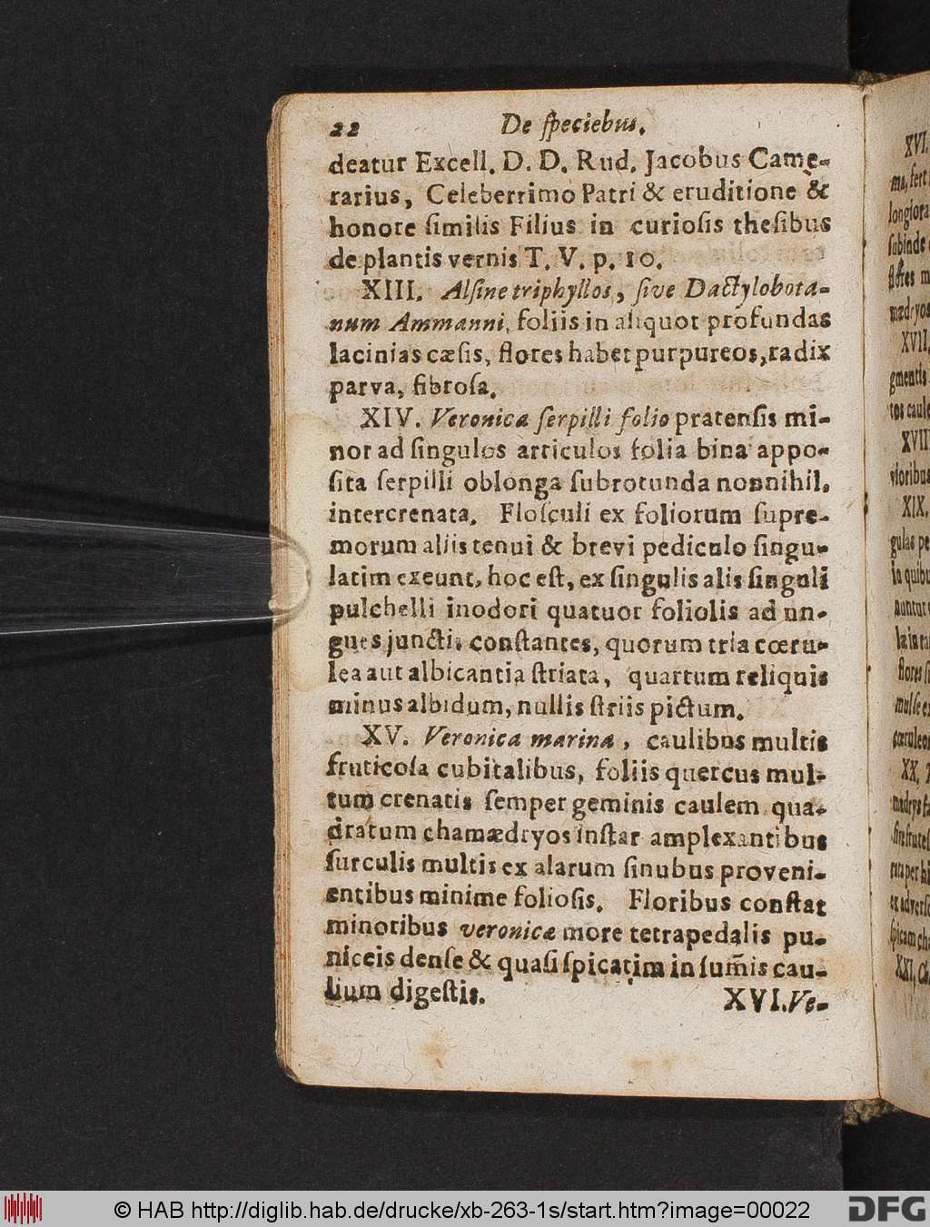 http://diglib.hab.de/drucke/xb-263-1s/00022.jpg